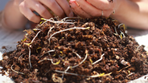 compost-hands